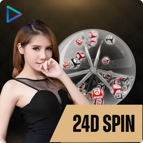 24dspin